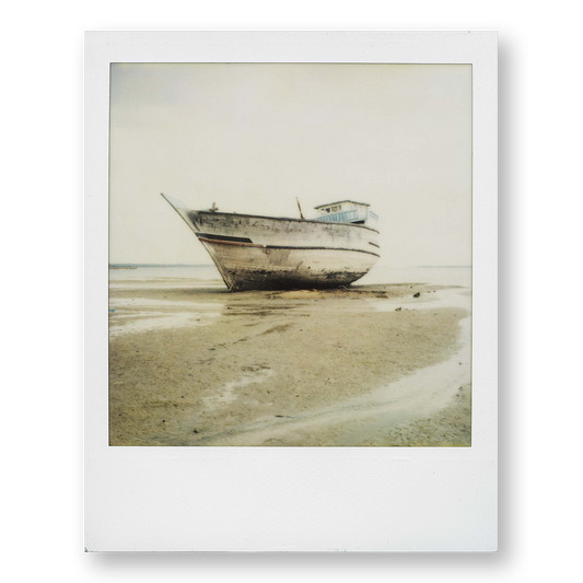 POLA / Dreamland 15