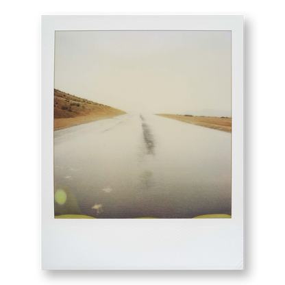 POLA / Dreamland 16