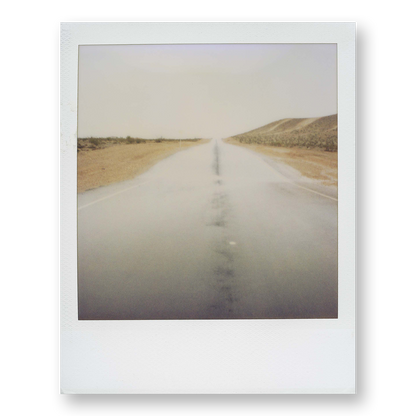 POLA / Dreamland 17