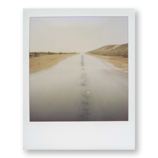 POLA / Dreamland 17
