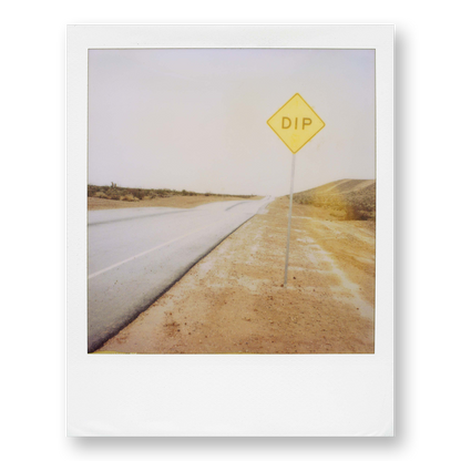 POLA / Dreamland 18