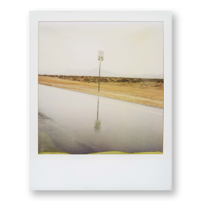POLA / Dreamland 19
