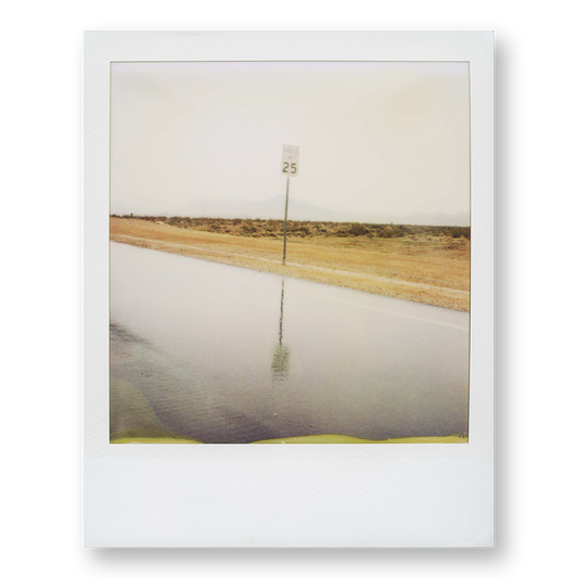 POLA / Dreamland 19