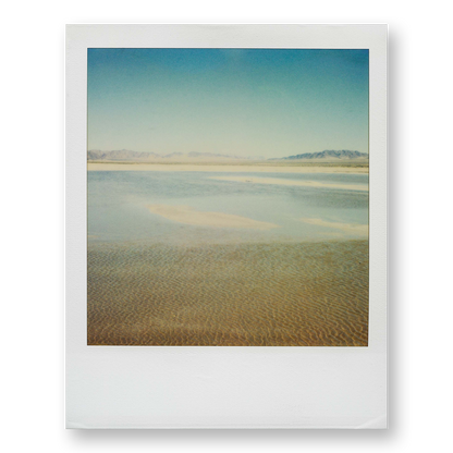 POLA / Dreamland 20