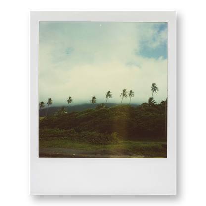 POLA / Gifts of Nature 12