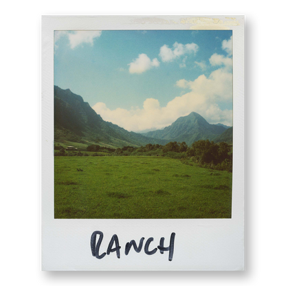POLA / Gifts of Nature 14