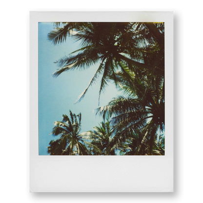 POLA / Gifts of Nature 15