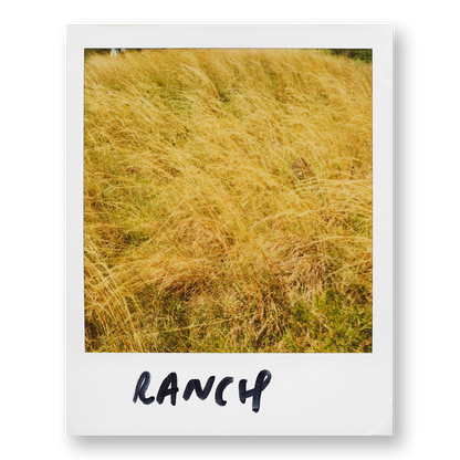 POLA / Gifts of Nature 16