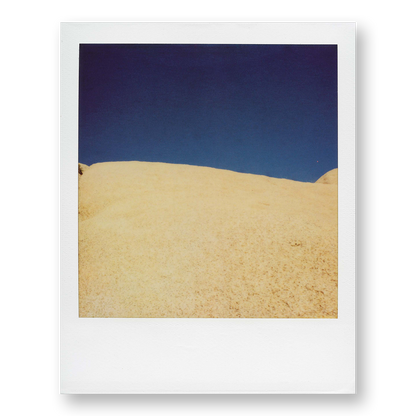 POLA / Gifts of Nature 22
