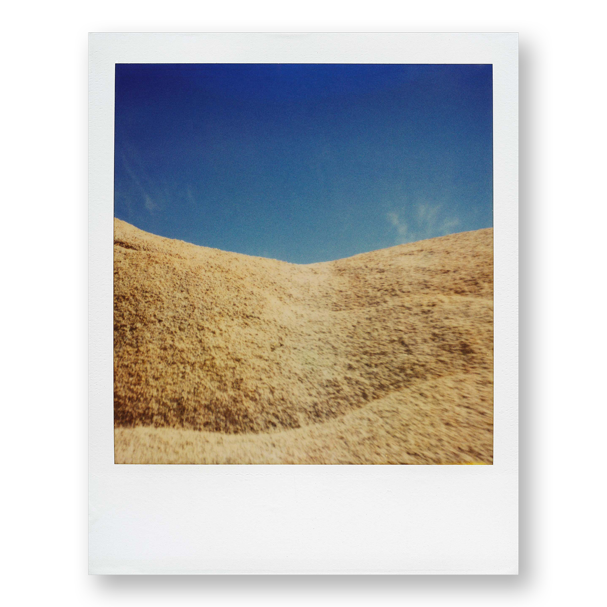 POLA / Gifts of Nature 24