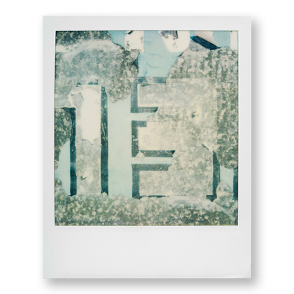 POLA / Las Vegas Signs 03