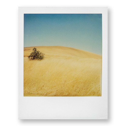 POLA / Madagascar 05
