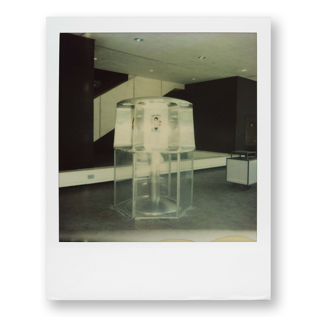POLA / New York 13