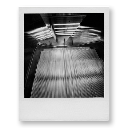 POLA / Night out 09