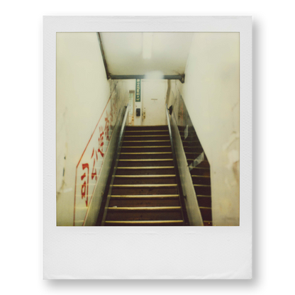 POLA / Night out 20