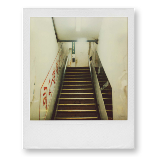 POLA / Night out 20