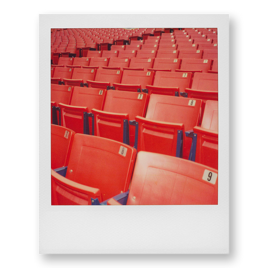 POLA / Red 03