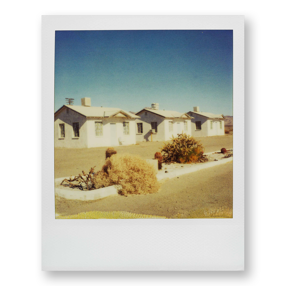 POLA / Road Trip 01