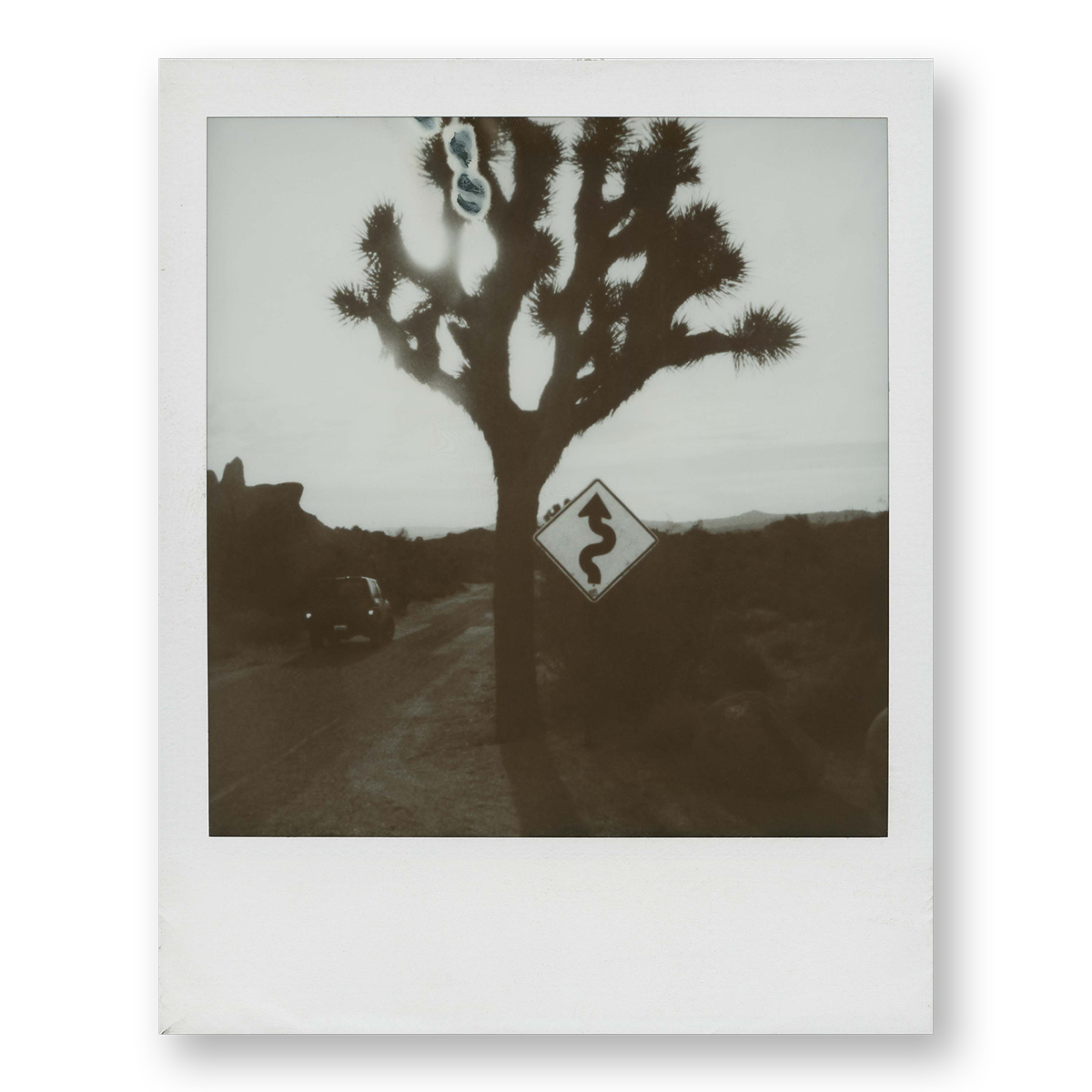 POLA / Road Trip 06