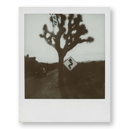 POLA / Road Trip 06