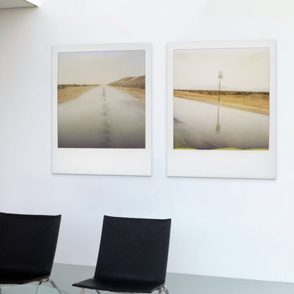 POLA / Dreamland 19