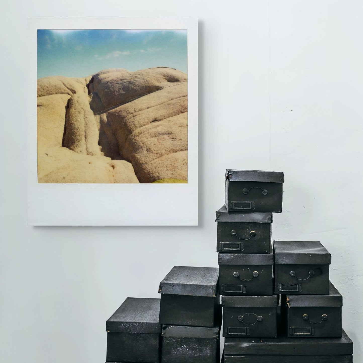 POLA / Gifts of Nature 20